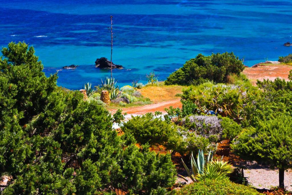 Arenal D'Or Daire Playa DPlaya Des Figueral Oda fotoğraf